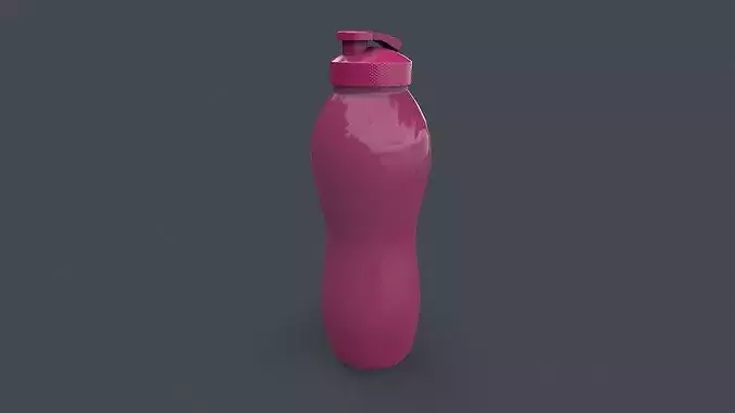 PBR Sports Water Bottle C