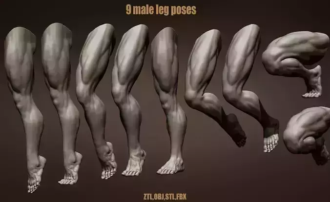 9 Male legs 3D model