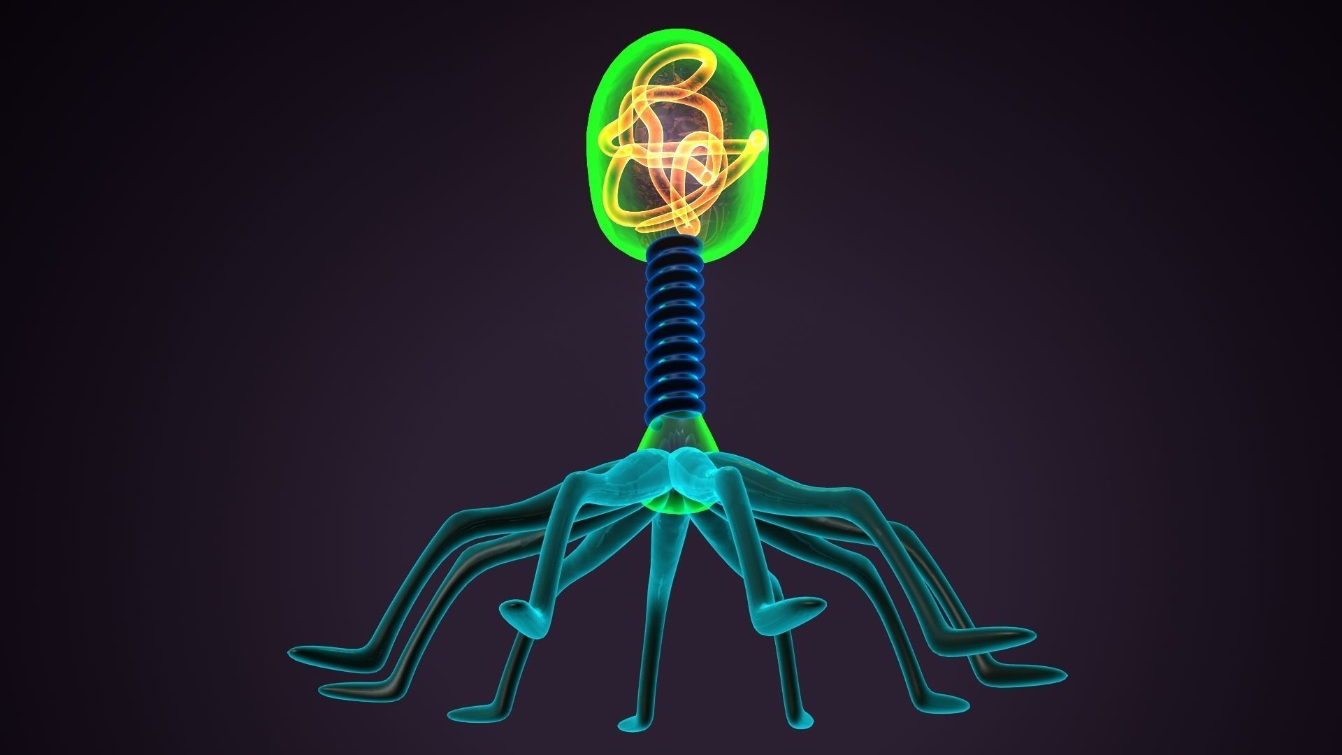 Bacteriophage glow in plant 3D model_5