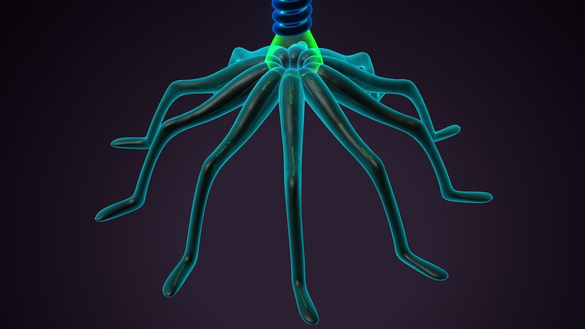 Bacteriophage glow in plant 3D model_4