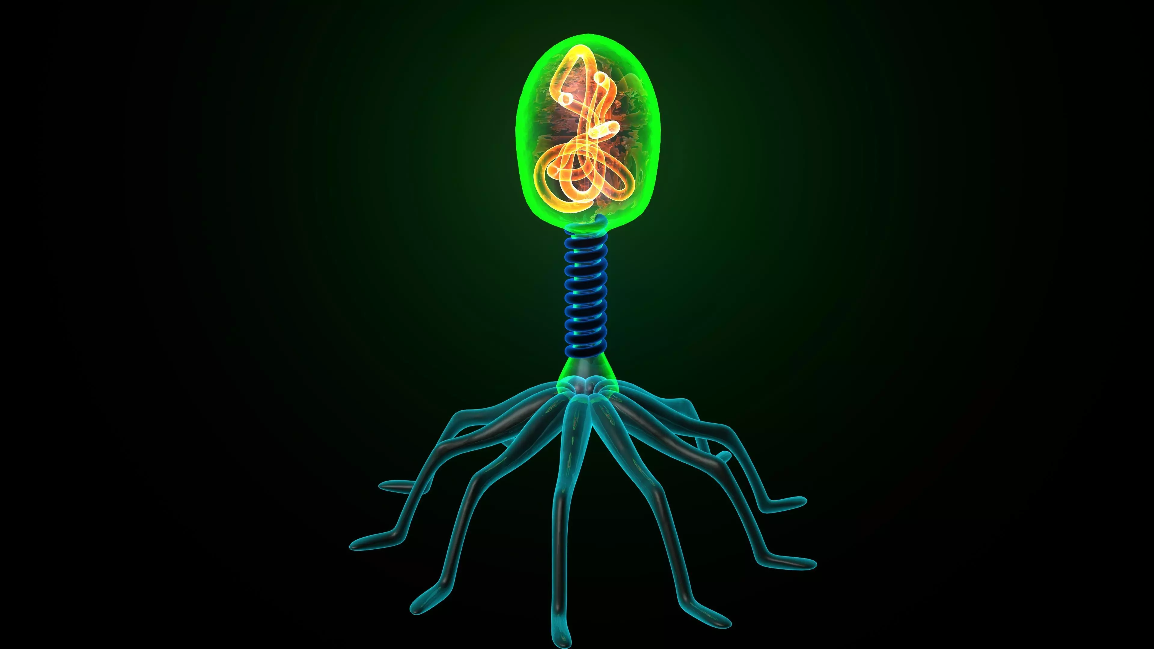 Bacteriophage glow in plant 3D model_0