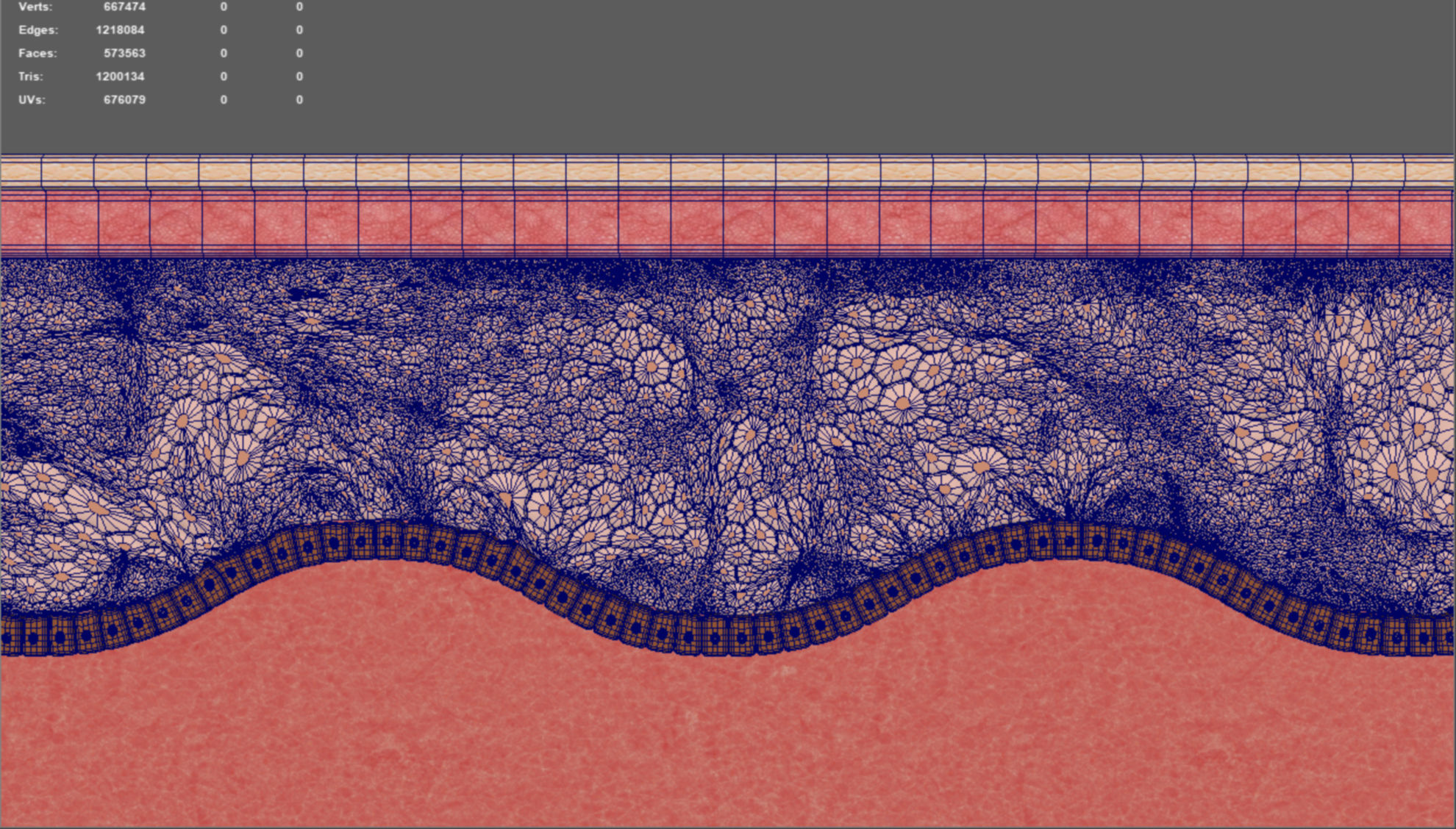 Skin layer Healthy 3D model 3D model_5