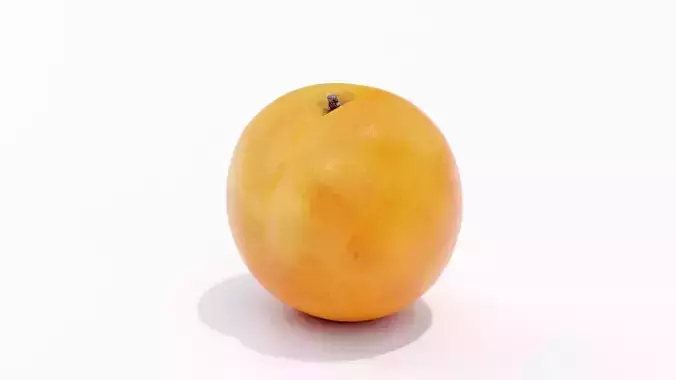 Apricot Low-poly 3D model