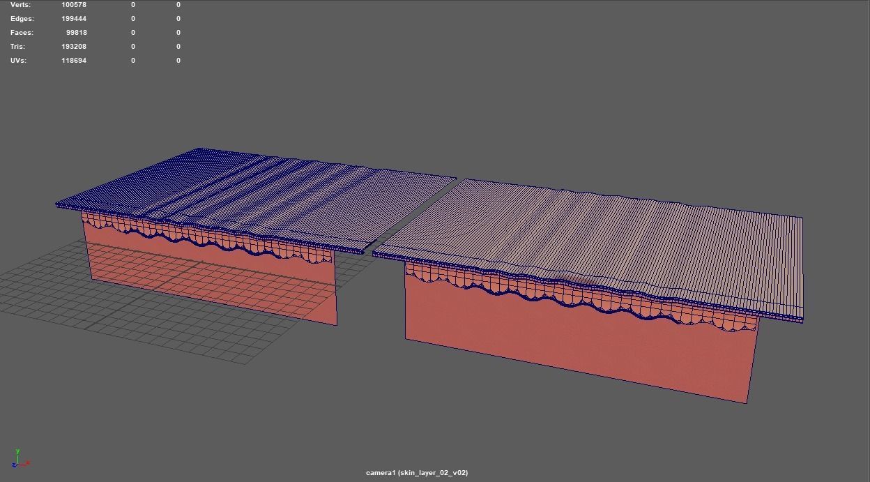 Simple Skin layer Healthy 3D model 3D model_7