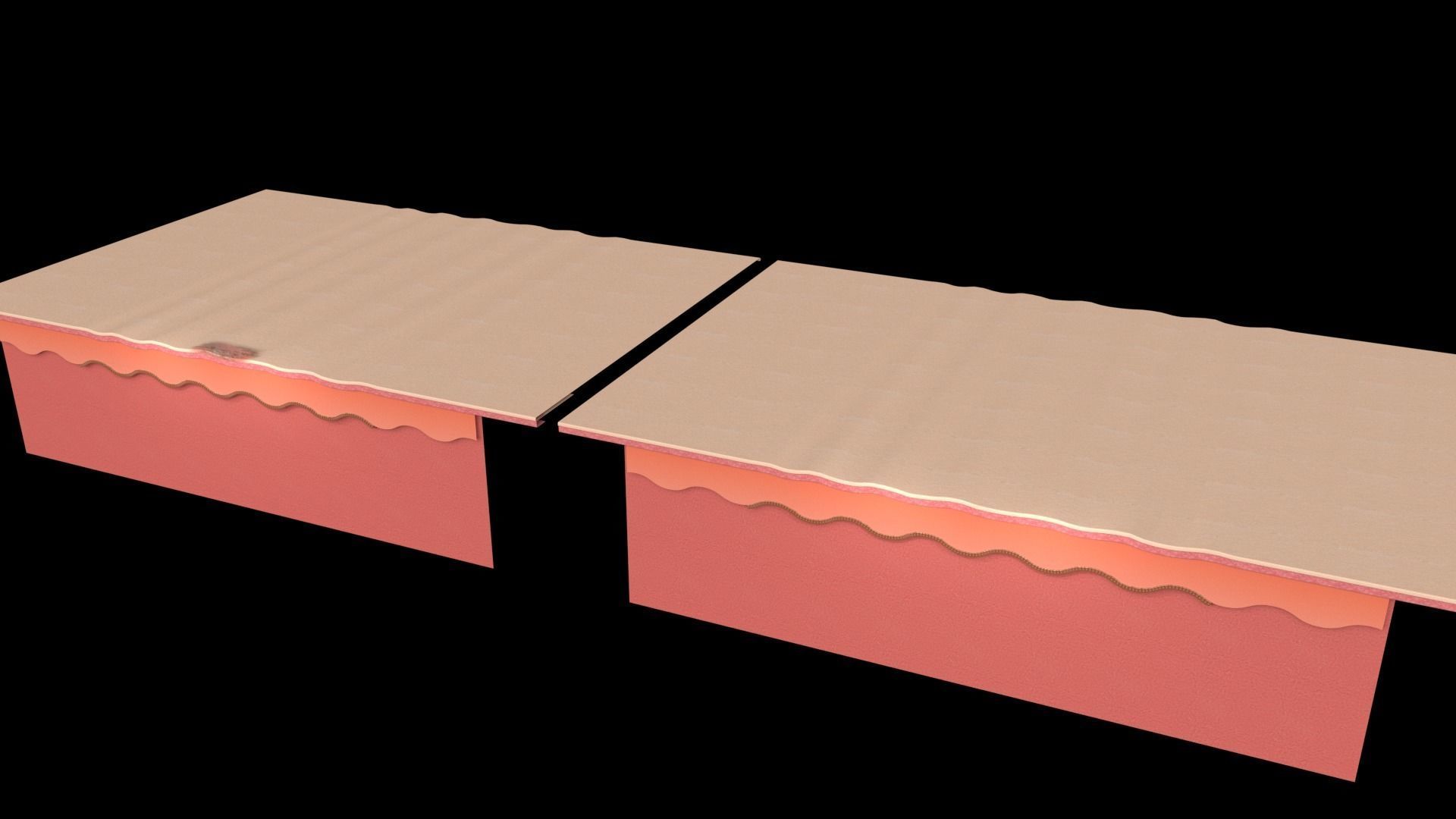 Simple Skin layer Healthy 3D model 3D model_8