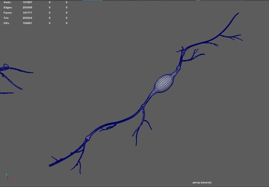 neuron nerve 3D 3D model_12