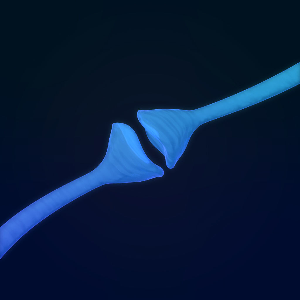 neuron nerve 3D 3D model_7