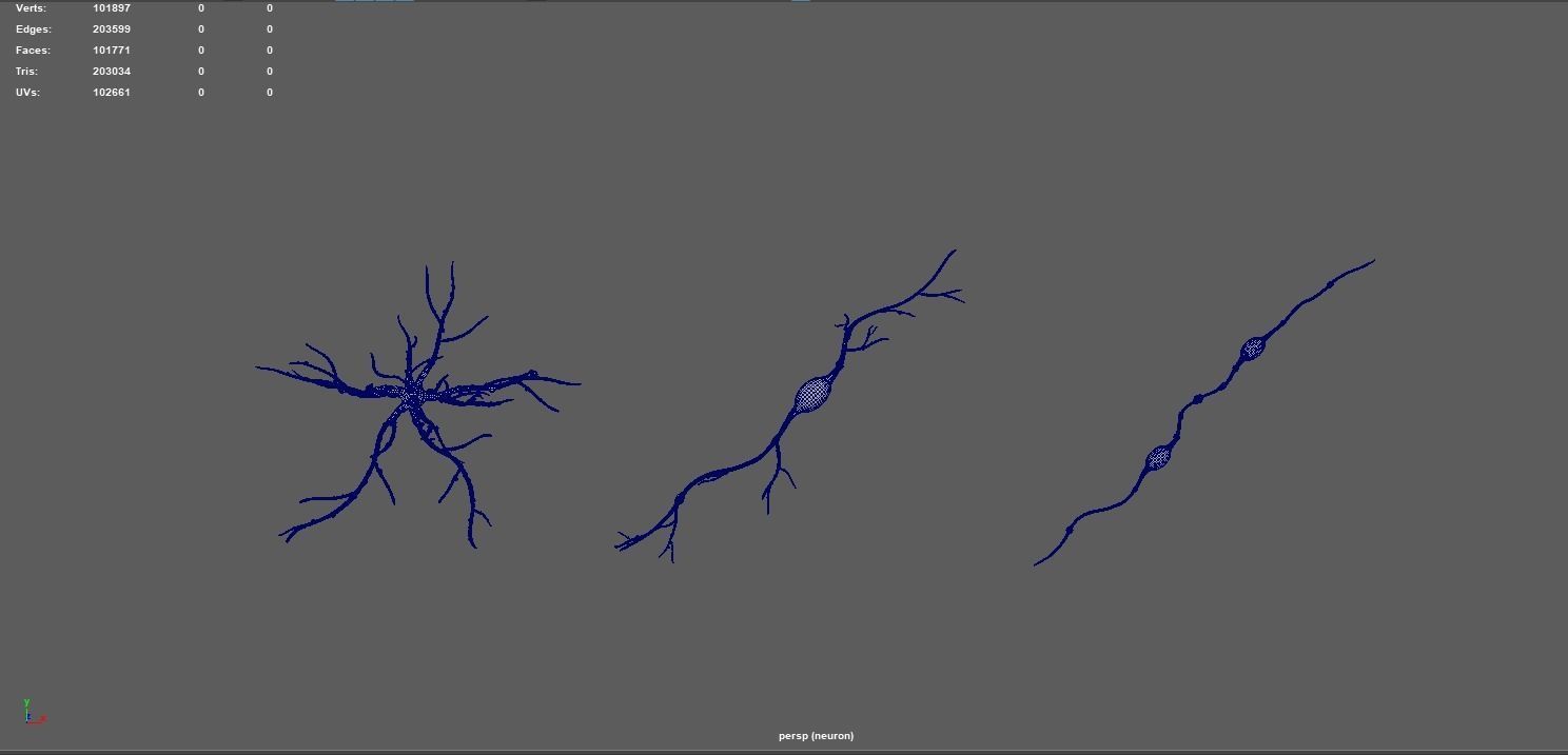 neuron nerve 3D 3D model_14