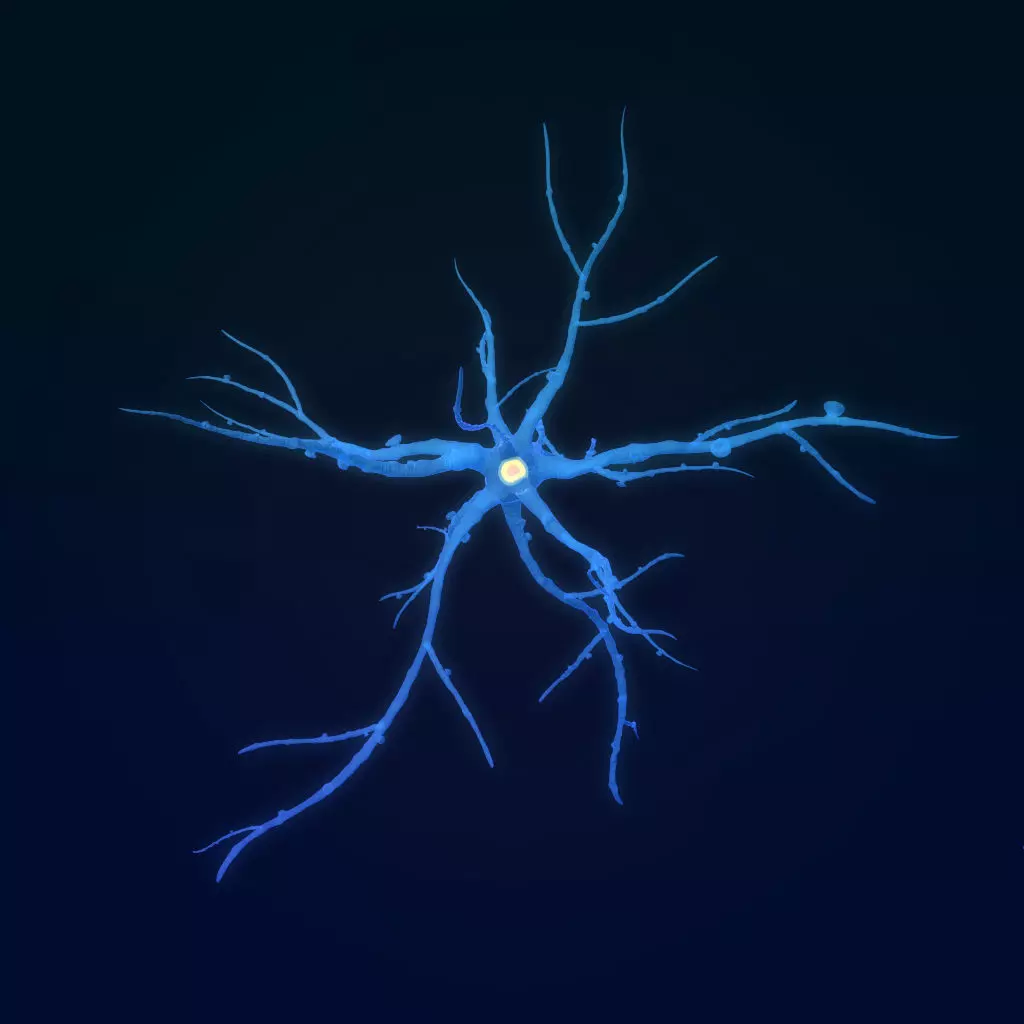 neuron nerve 3D 3D model_0