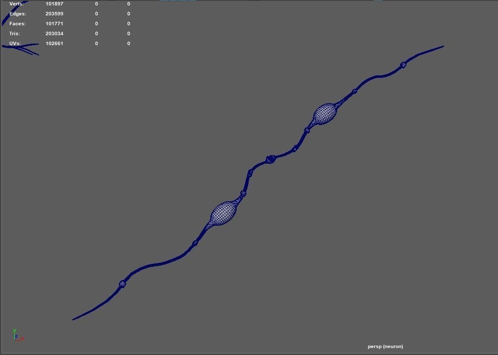 neuron nerve 3D 3D model_13