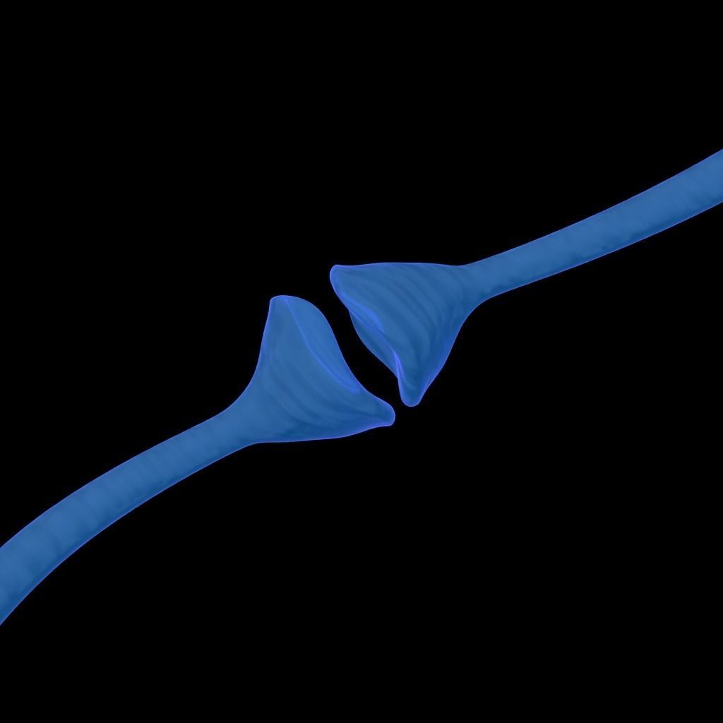 neuron nerve 3D 3D model_4
