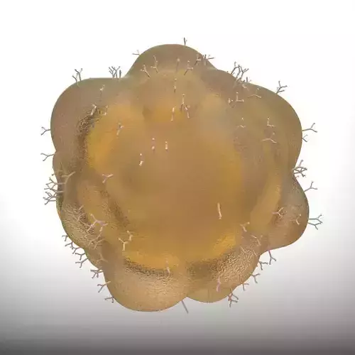 cell - high detailed