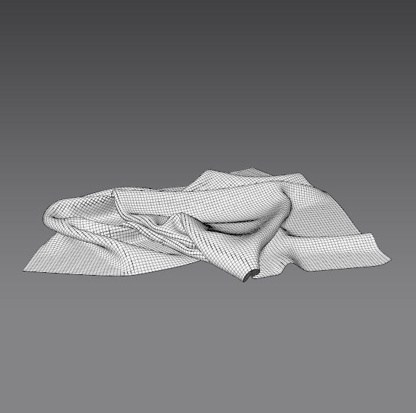 Cloth FBX 890 Low-poly 3D model_1