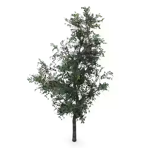 Low Poly Tree 01- Game Ready Natural Low-poly 3D model