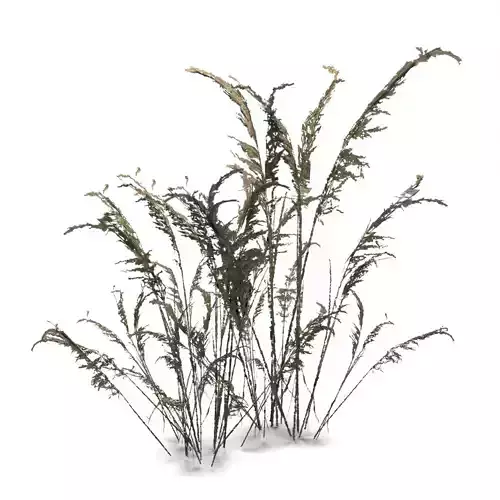 Low Poly Old Grass Dry - Game Ready Plant Low-poly 3D model