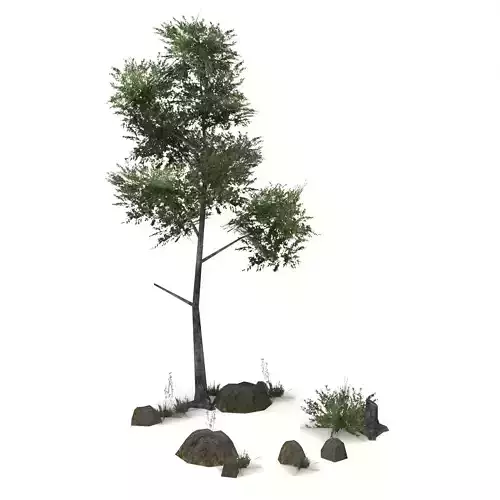 Low Poly Tree 04 - Game Ready Natural