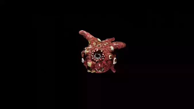 Meatball human heart 3D model