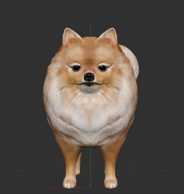 Pomeranian 3D PRINT 3D print model_7
