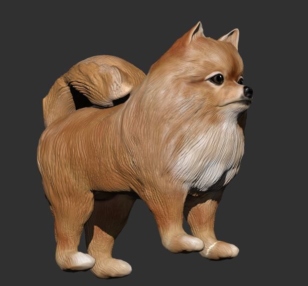 Pomeranian 3D PRINT 3D print model_1