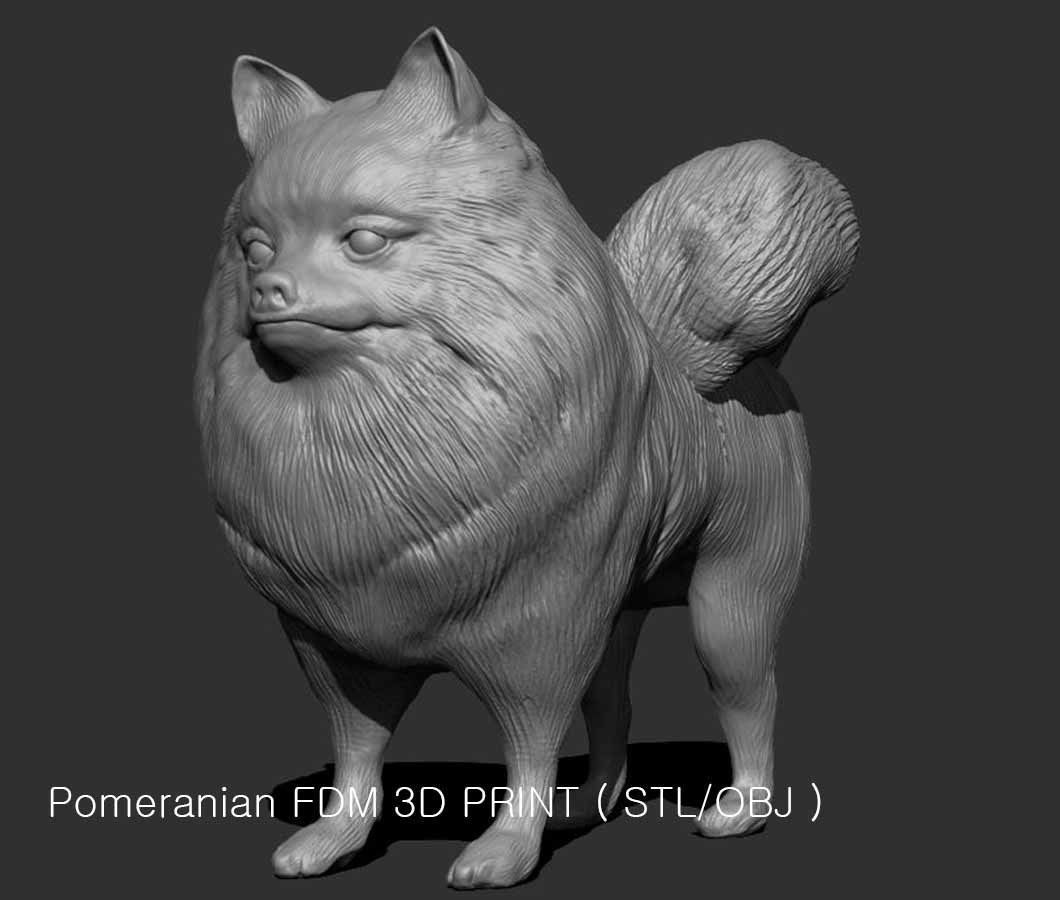 Pomeranian 3D PRINT 3D print model_5