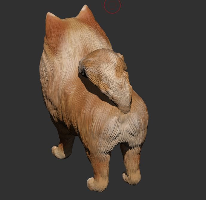 Pomeranian 3D PRINT 3D print model_4