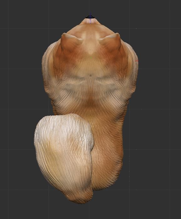 Pomeranian 3D PRINT 3D print model_10