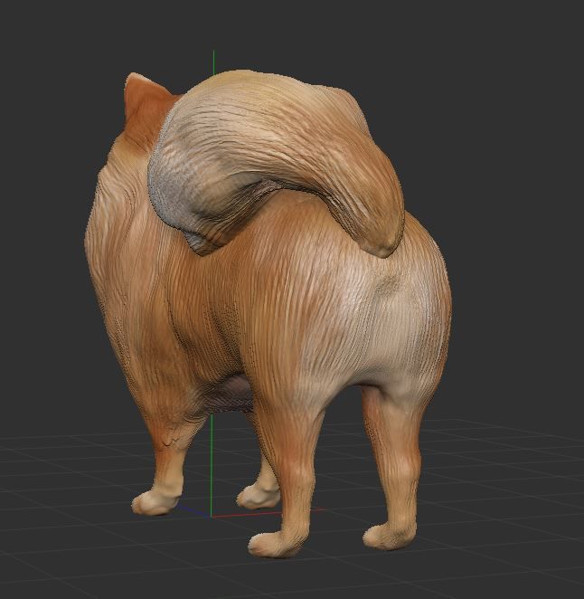 Pomeranian 3D PRINT 3D print model_9