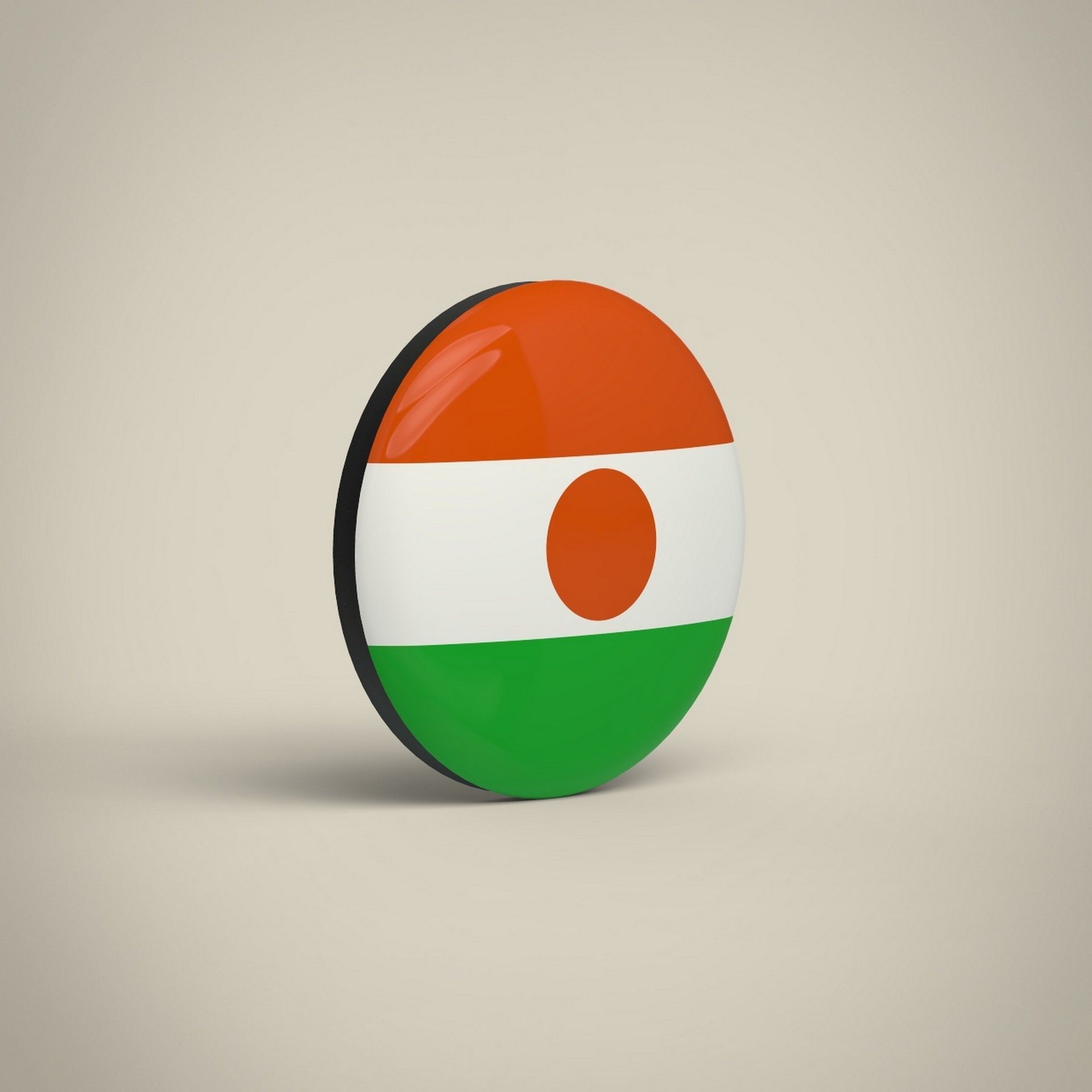 Niger Badge Low-poly 3D model_2