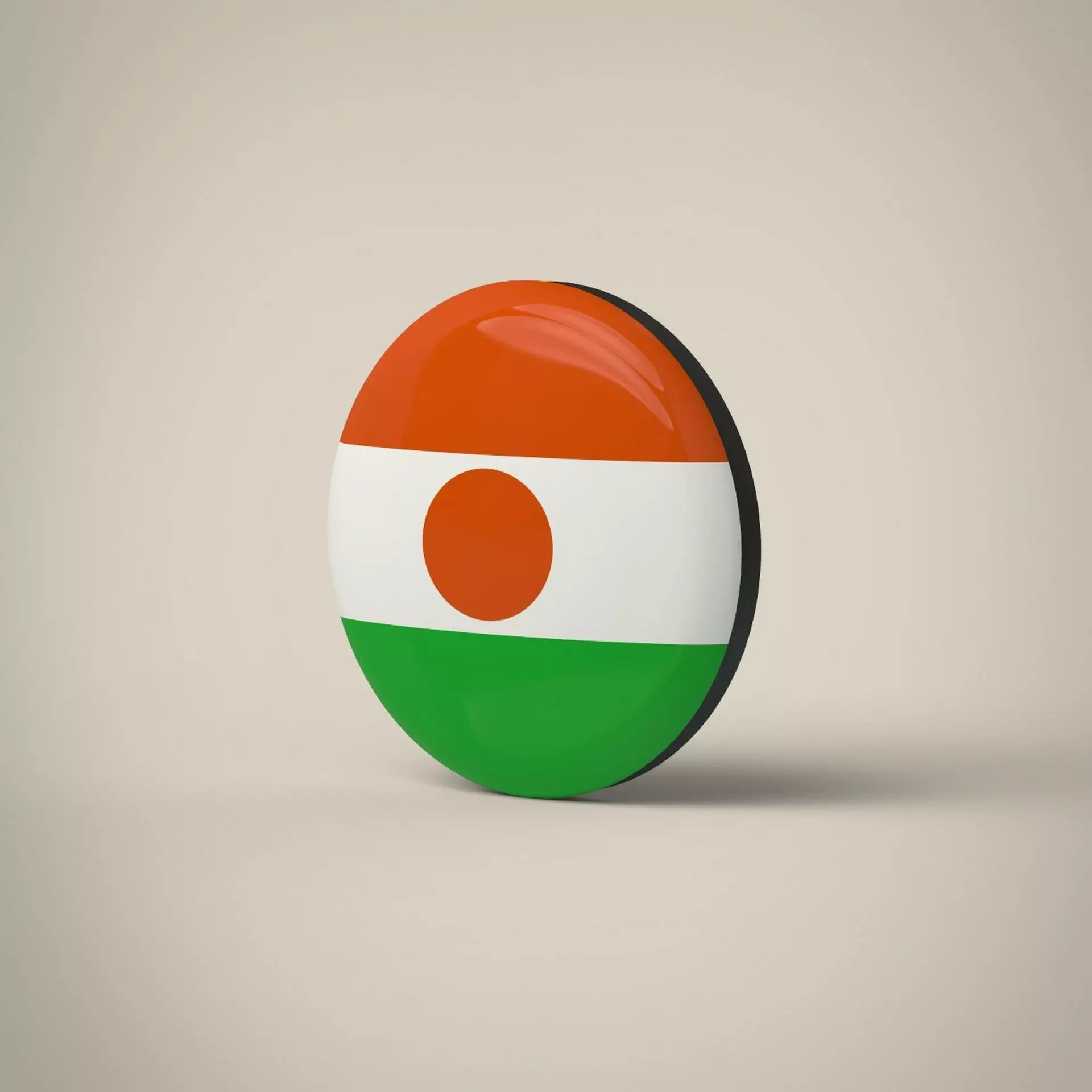 Niger Badge Low-poly 3D model_0
