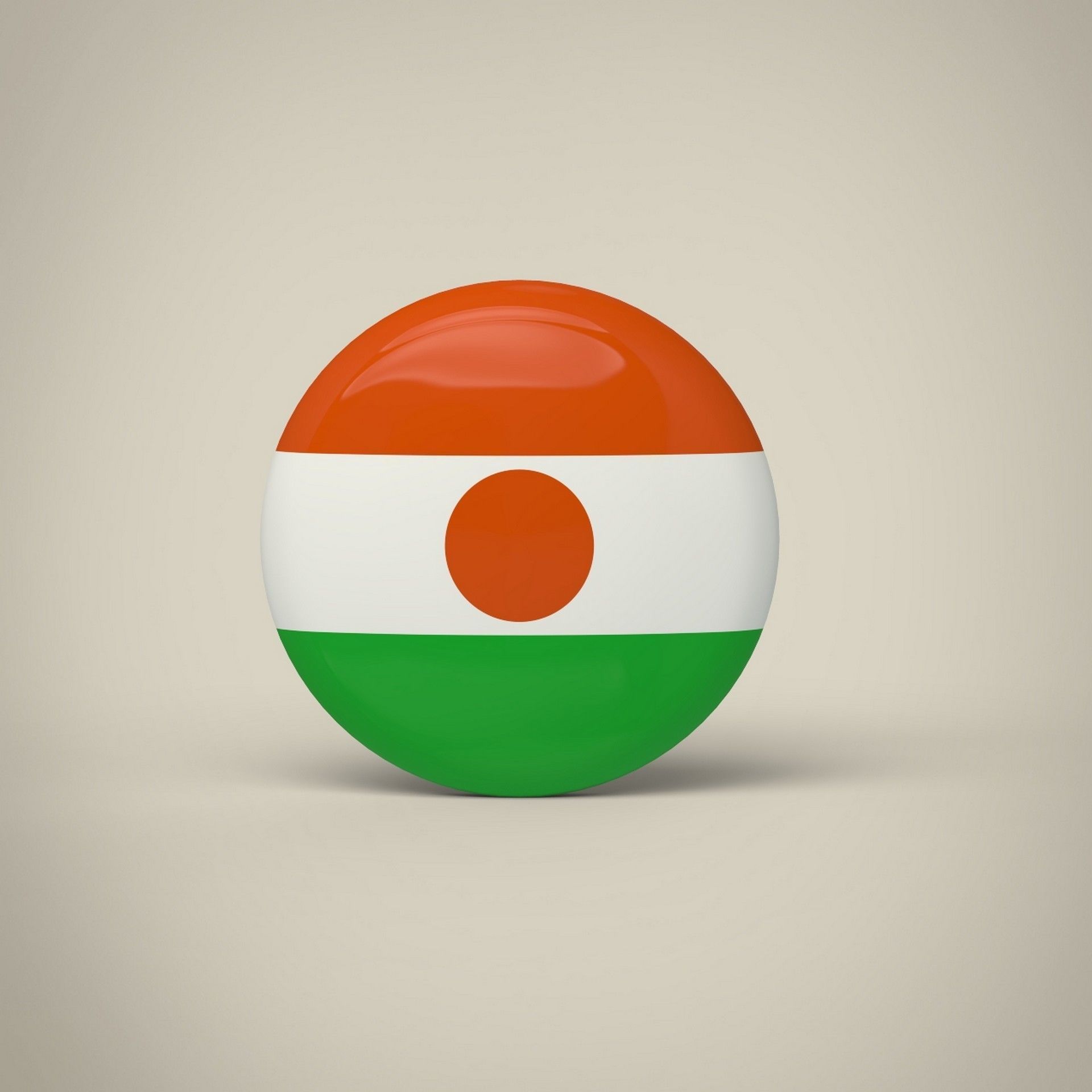 Niger Badge Low-poly 3D model_1