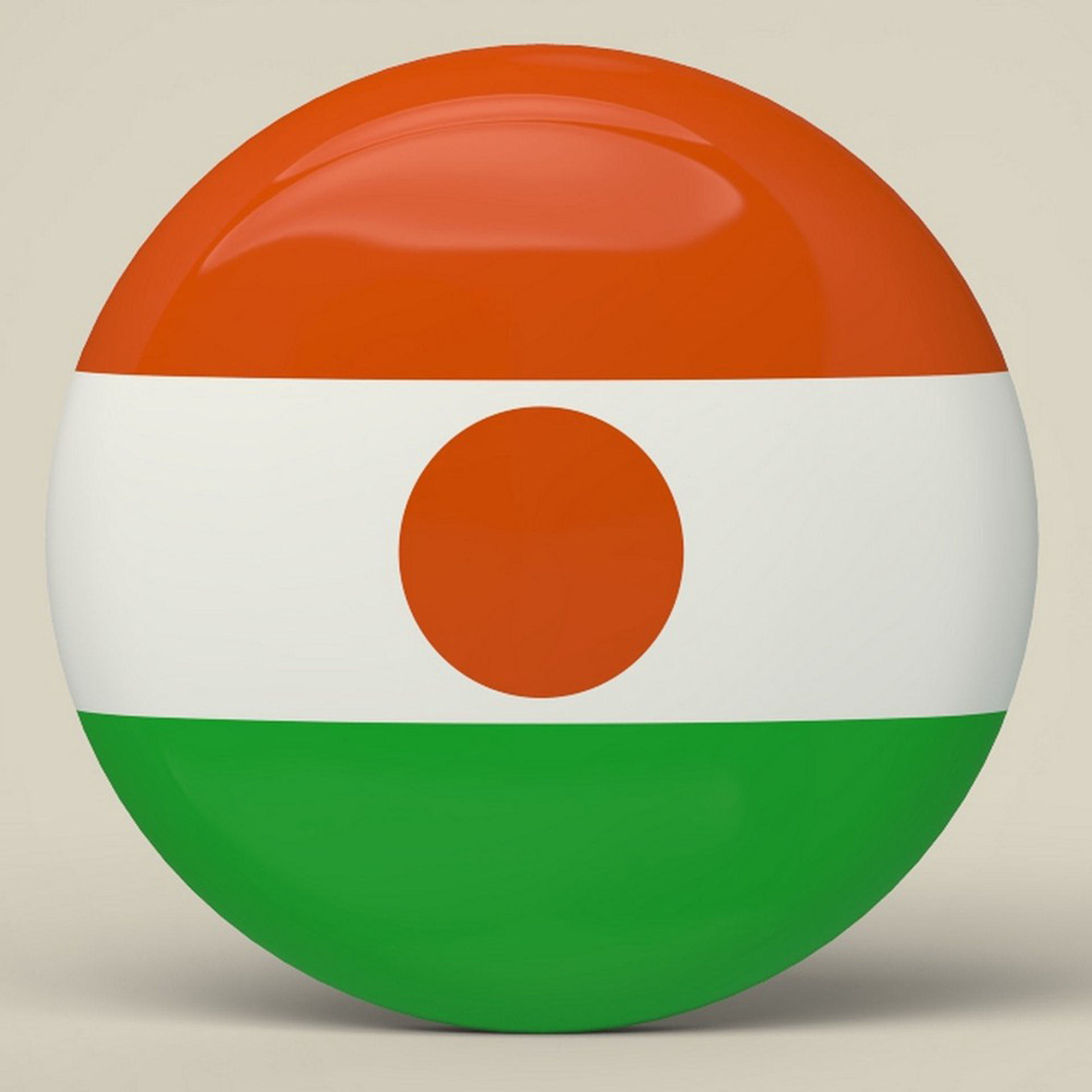 Niger Badge Low-poly 3D model_4