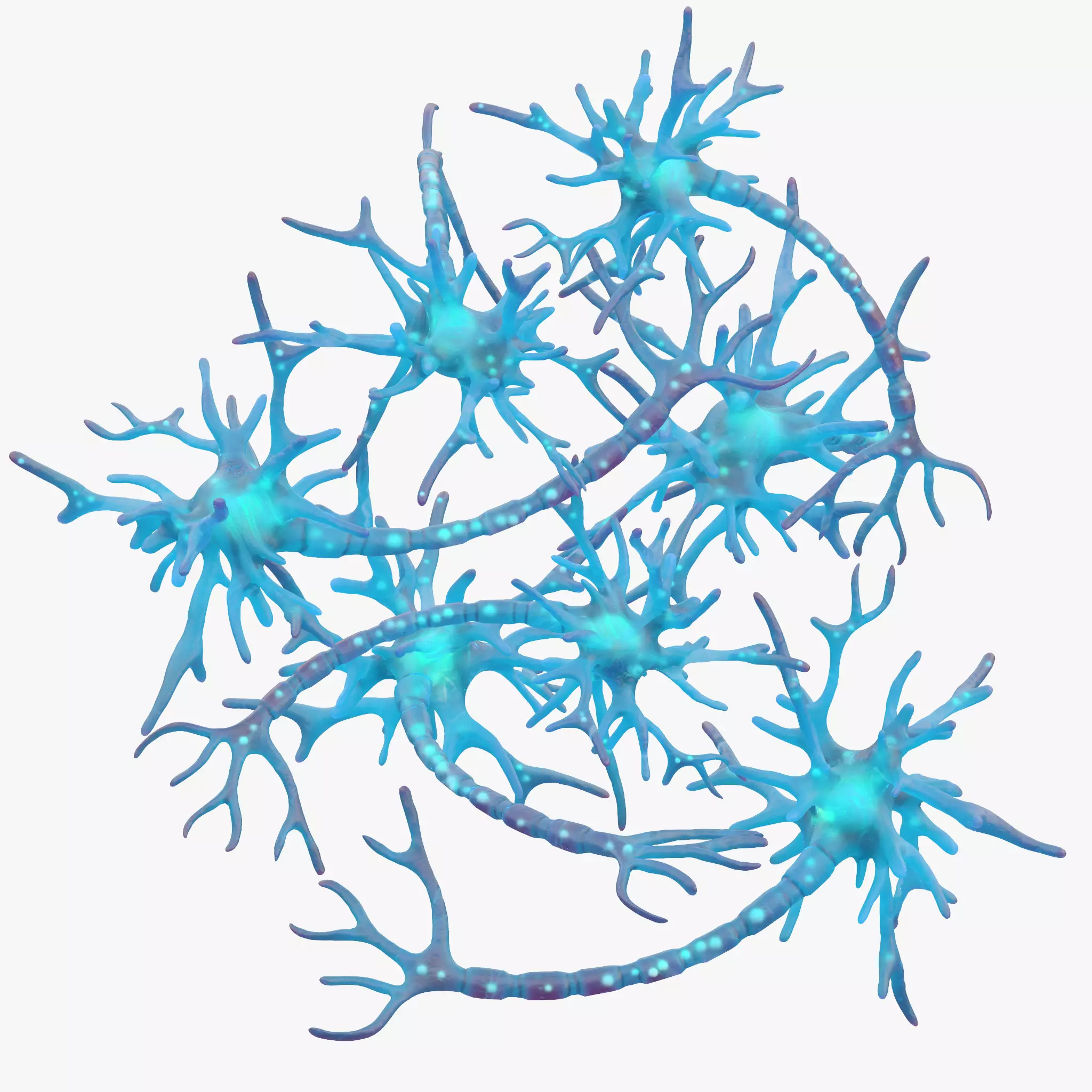 Human Neuron 3D model_0