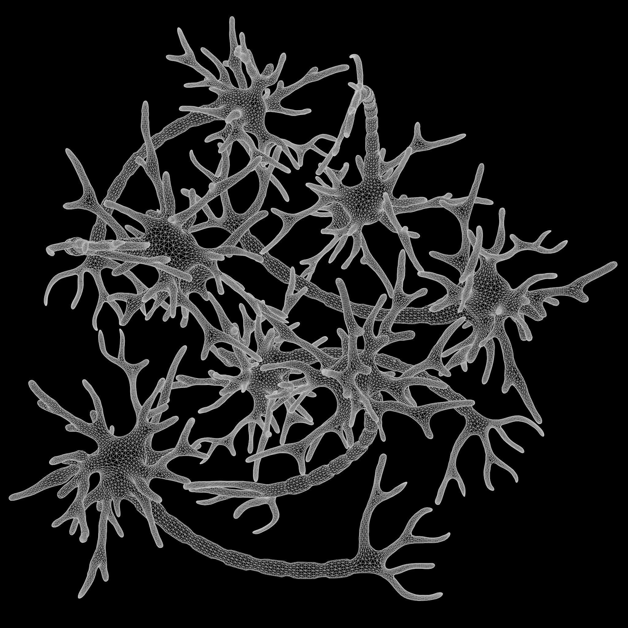 Human Neuron 3D model_6