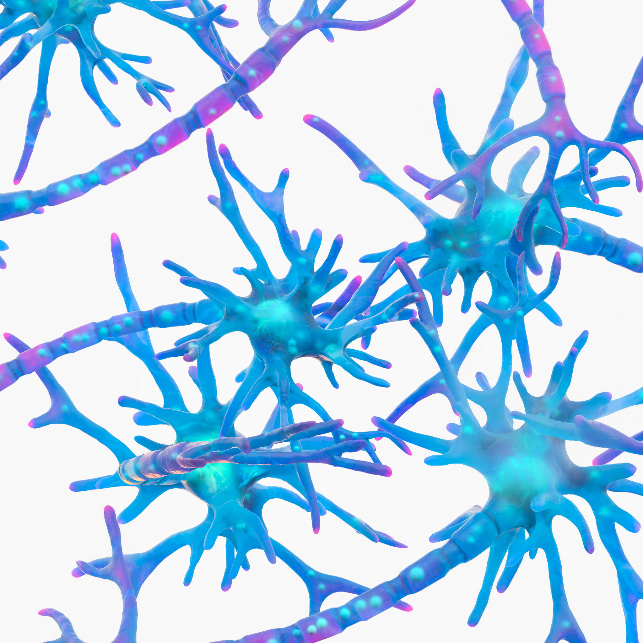 Human Neuron 3D model_4