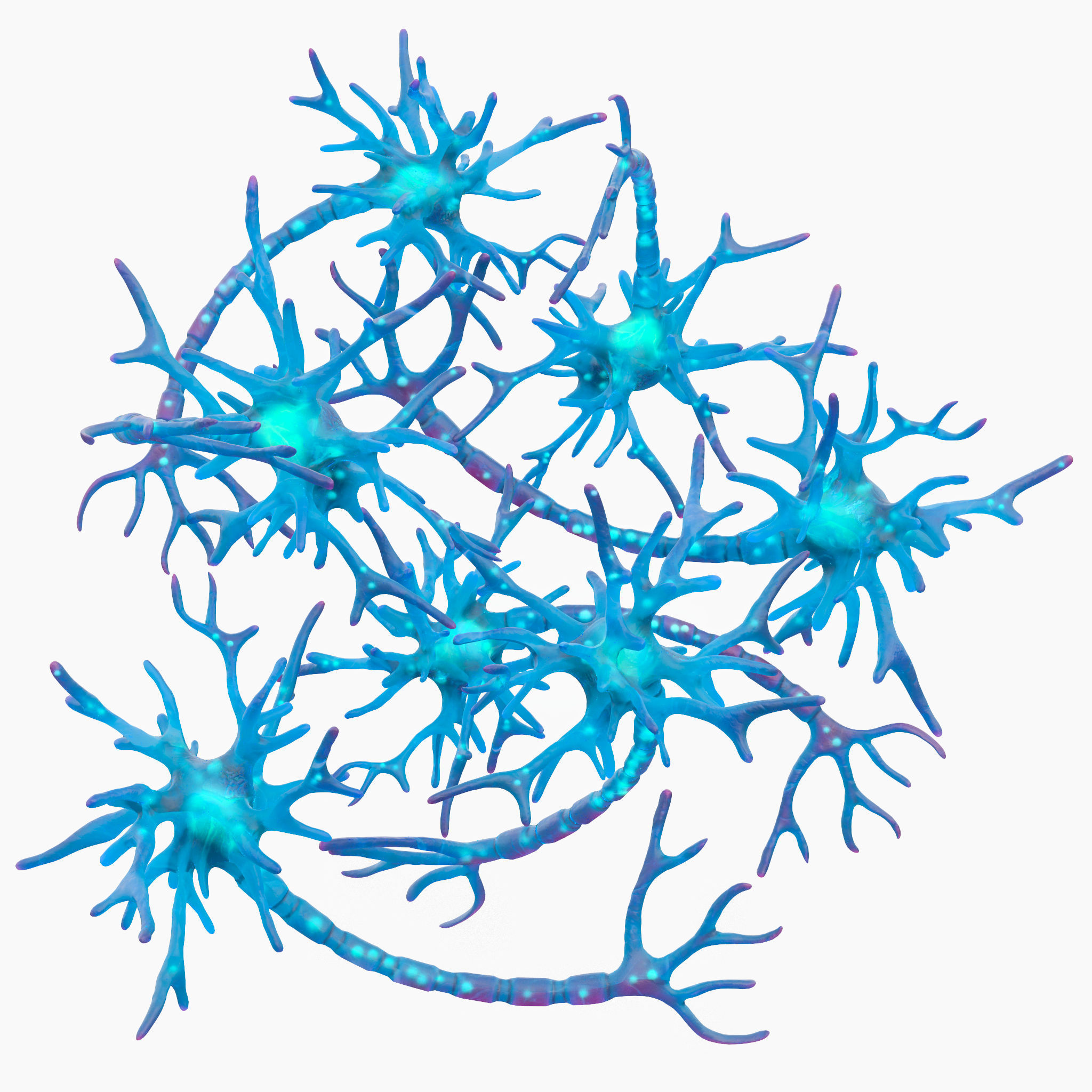 Human Neuron 3D model_5