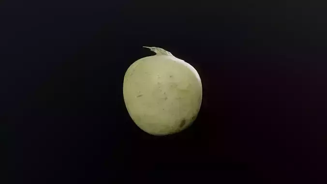 3D Scan Radish