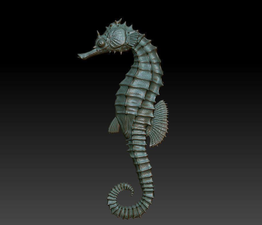 two seahorses 3D print model_5