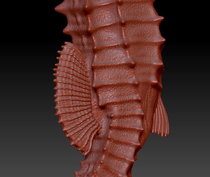 two seahorses 3D print model_8