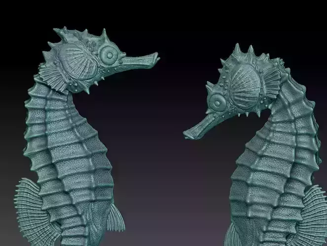 two seahorses 3D print model