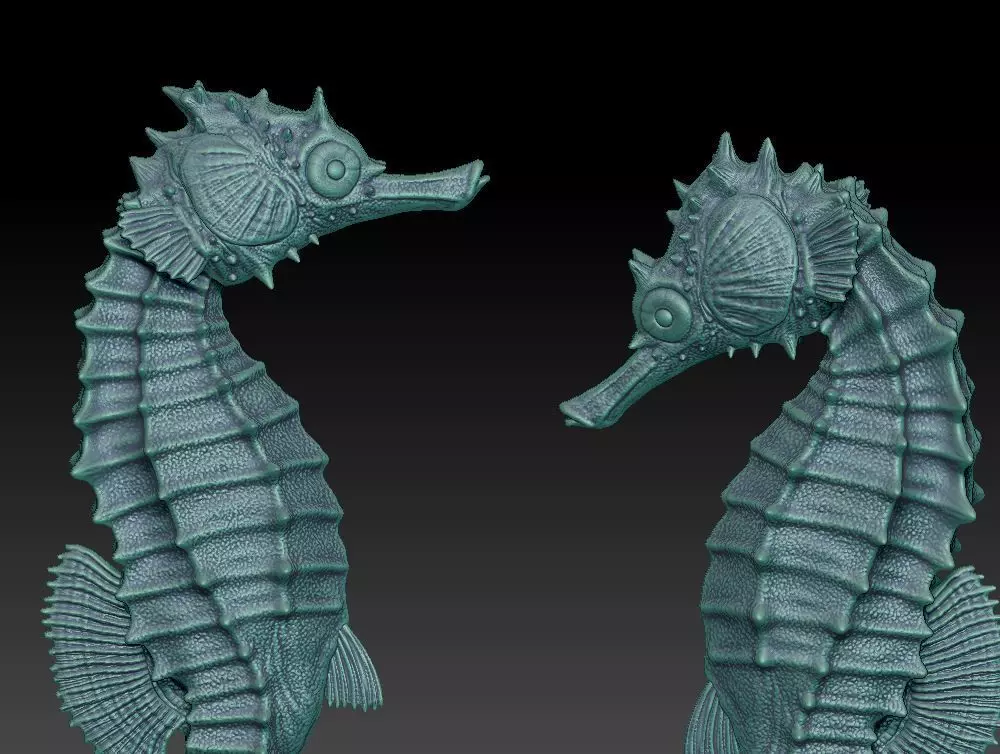 two seahorses 3D print model_0