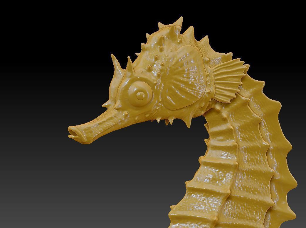 two seahorses 3D print model_3