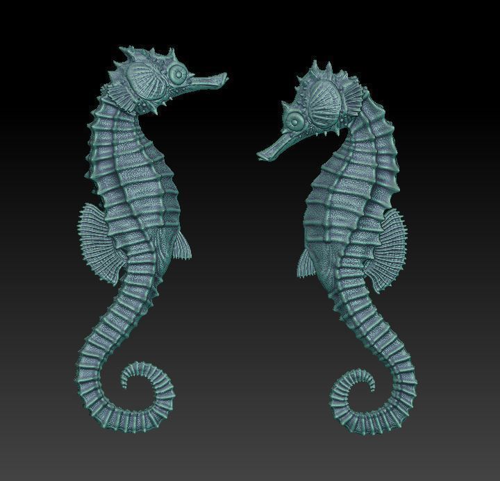 two seahorses 3D print model_1