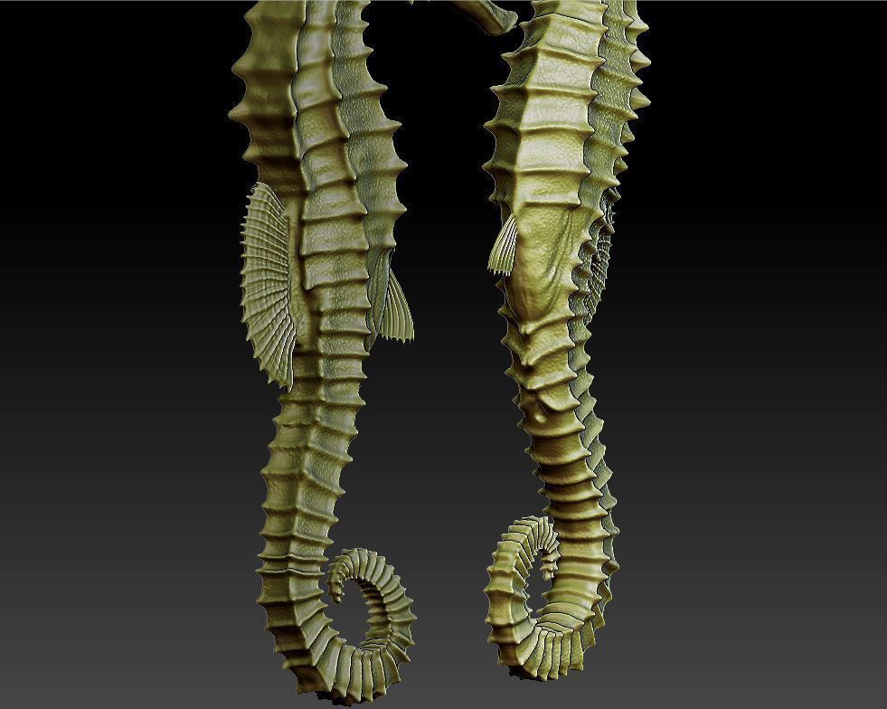 two seahorses 3D print model_7