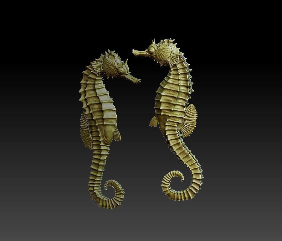 two seahorses 3D print model_6