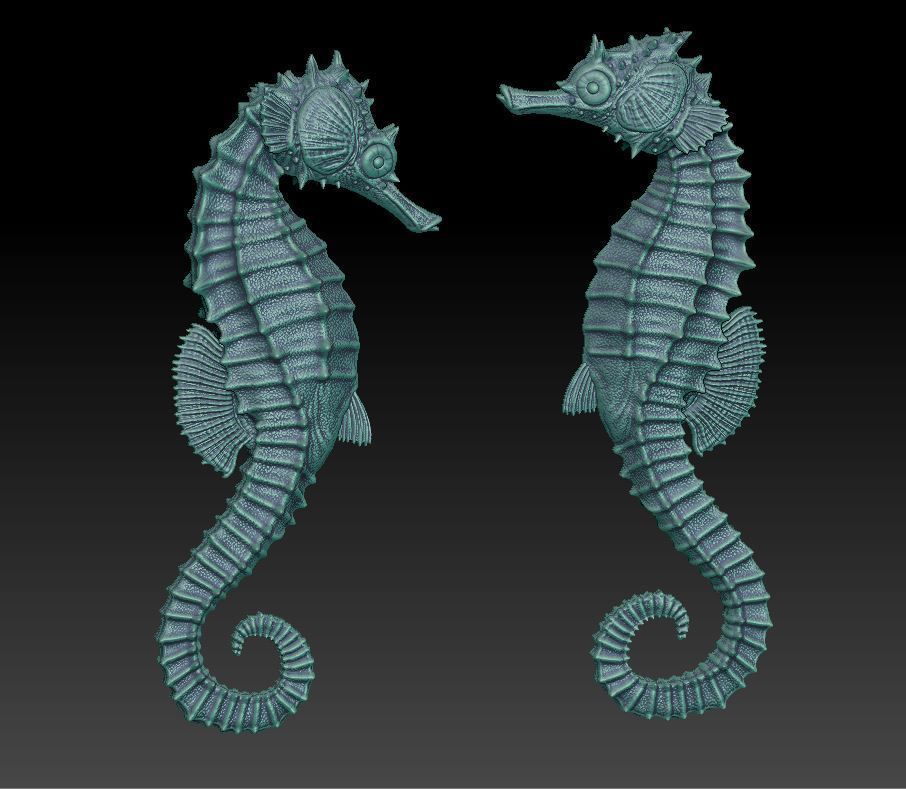two seahorses 3D print model_2