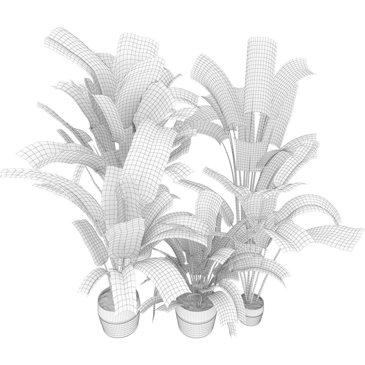 Collection plant vol 275 - indoor - leaf - Banana 3D model_6