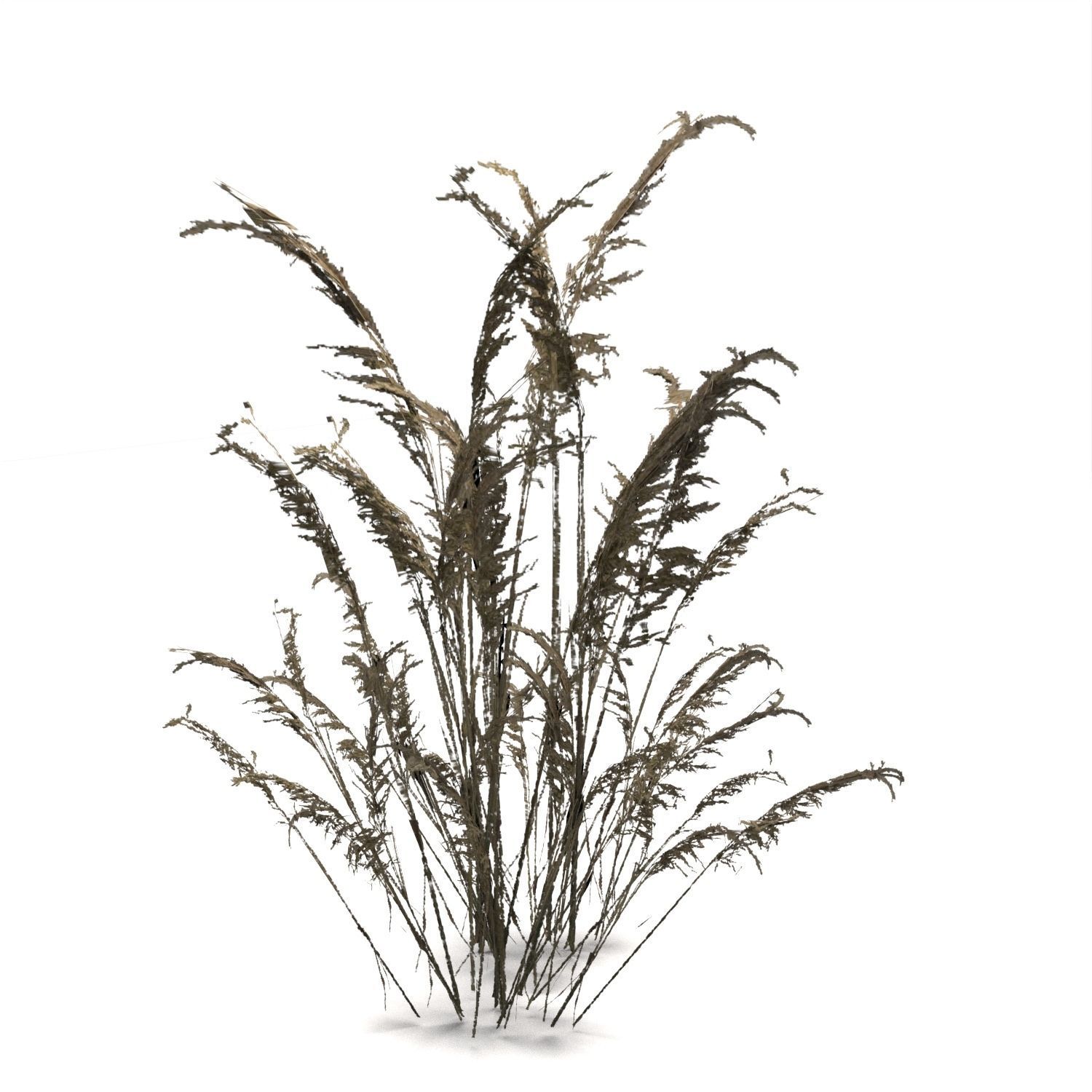 Low Poly Tree Bundle Game Ready Low-poly 3D model_20