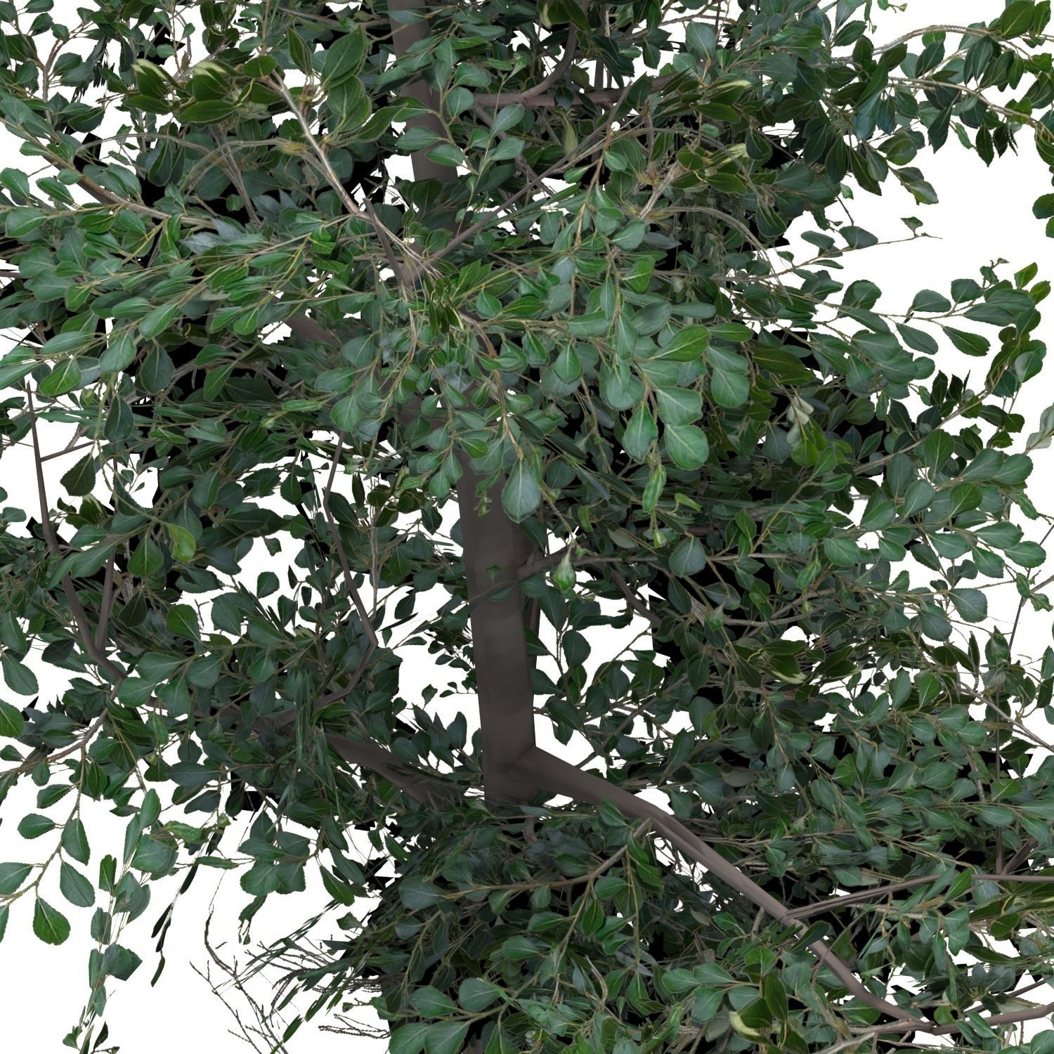 Low Poly Tree Bundle Game Ready Low-poly 3D model_13