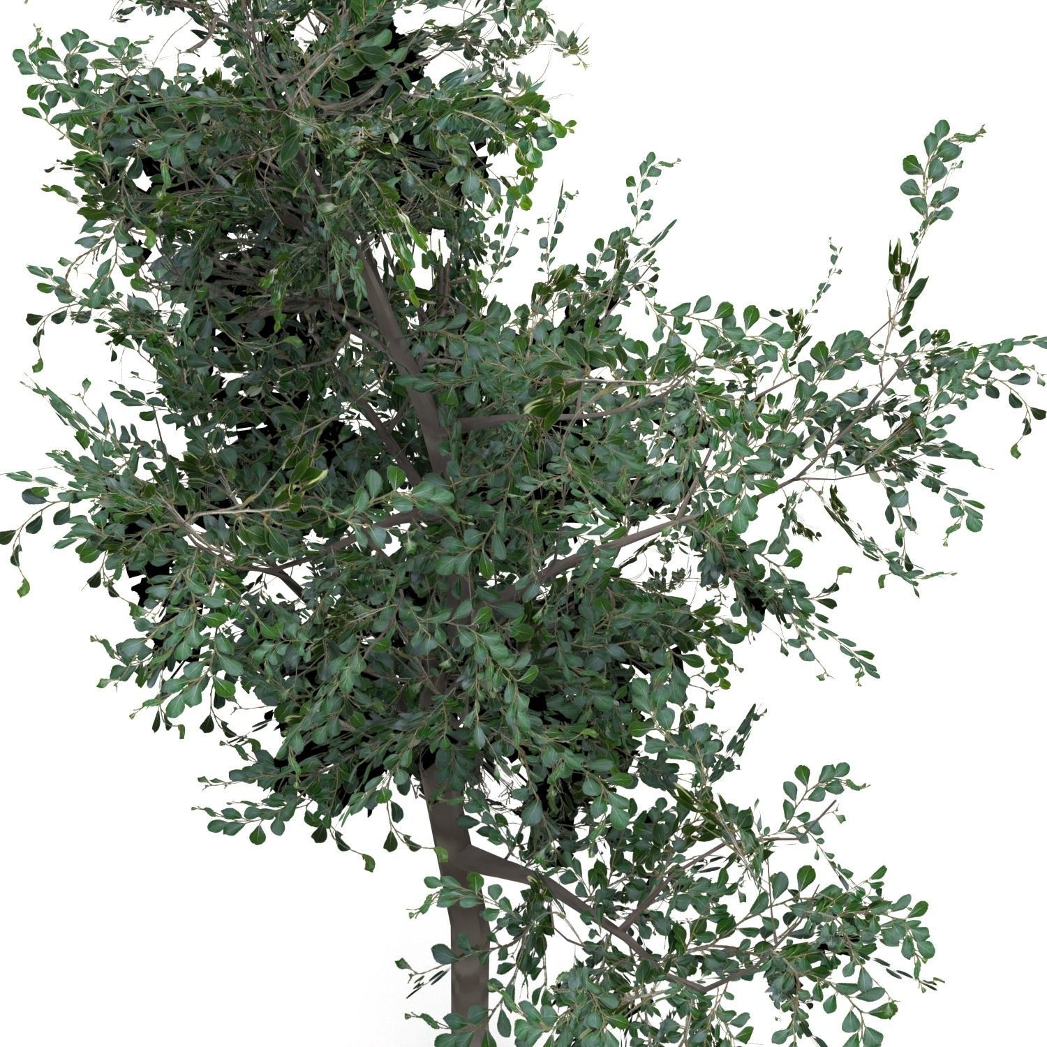 Low Poly Tree Bundle Game Ready Low-poly 3D model_12