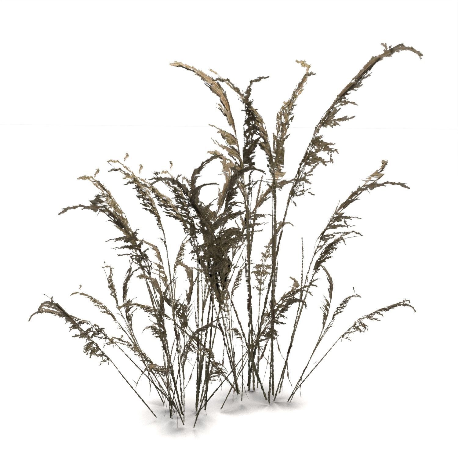 Low Poly Tree Bundle Game Ready Low-poly 3D model_19